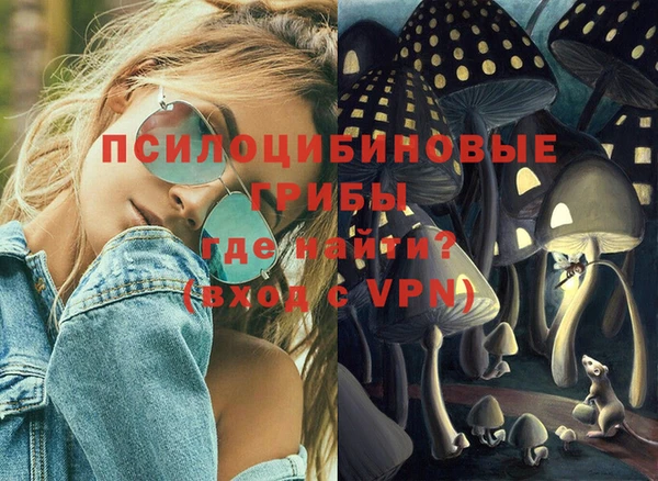 синтетический гашиш Алексин